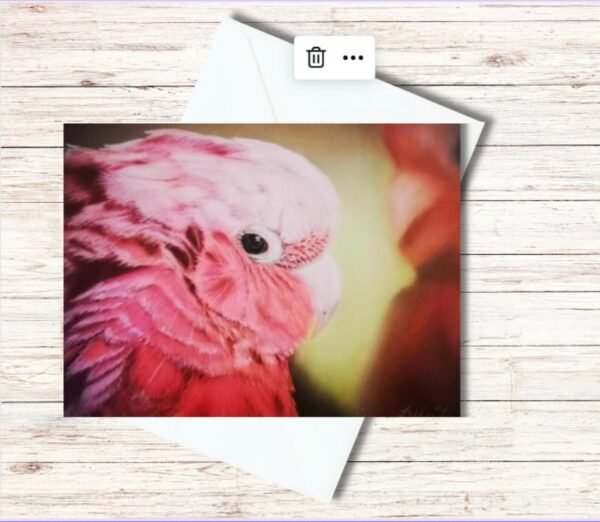 Gallah pink parrot thumbnail